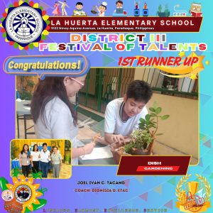 festival of talents january 21 008